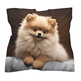 WEIHAKO Bandanas for Men Women Multi-Purpose Handkerchief Cute Pomeranian Dog Bandana Headbands Square Scarf Headwear
