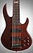 ESP LTD D-6 6-String Electric Bass Guitar, Natural Satin