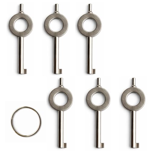 Rolvyns 6-Pack Universal Handcuff Keys Compatible with Most Standard Handcuffs,