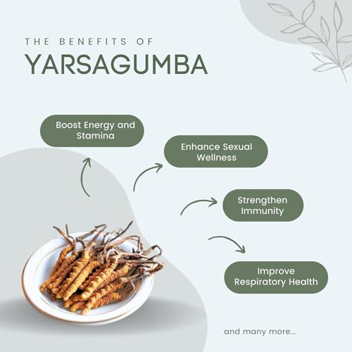 Image of Kida Jadi Premium Yarsagumba Powder, 100% Pure Wild Cordyceps Sinensis, Dietary Food Supplement, 100 Grams