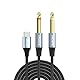 ANDAPA 1M USB-C auf Dual 6,35 mm (1/4) Stereo Y-Splitterkabel - Kompatibel mit iPhone 15, Tablets, Laptops, Verstärkern und Mischern.