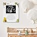 Hatzelou Winnie Baby Shower Sign Picture Frame, A Message From The Bump Sonogram Picture Frame, Cute Bear Decor Baby Shower Gender Reveal, Pregnancy Milestone Keepsake 4.3 * 5.3 IN Photos