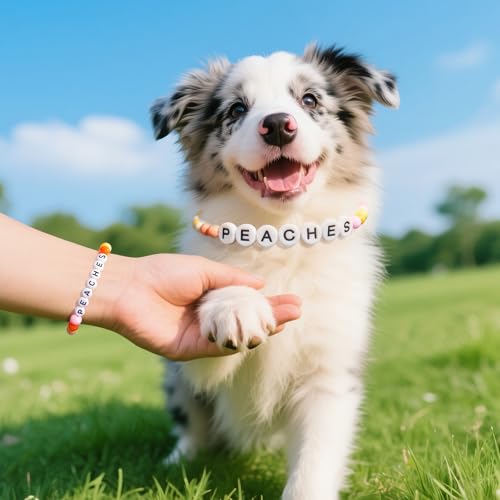 Personalized Beaded Dog Pet Collar, Customizable Dog's Name Collar, Rainbow Color Beaded Dog Collar, Dog Cat ID Name Collar, Gift for Dog Lover