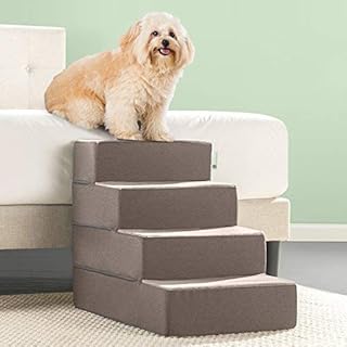 extra tall pet steps
