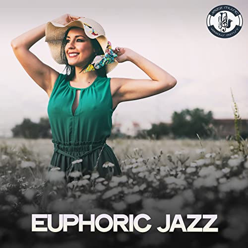 How to get diplomatic passport How to get diplomatic passport