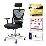 Ergonomic Office Chair