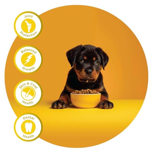 Image of Fidele+ Large Breed Puppy Food | 18kg | High Protein for Growth | Strong Bones & Joints | Controlled Growth | Weight Management