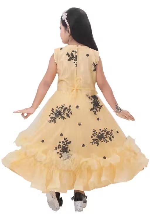 Image of Elegant Petal Flair Embroidered Party Frock for Girls