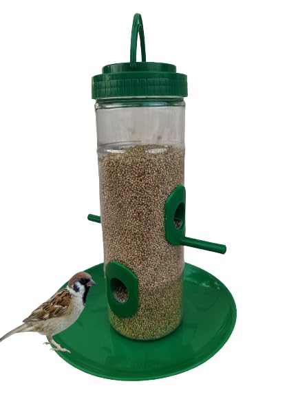 Ekin Bird Feeder Hanging Grill, Bird Feeder for Balcony, Outdoor Bird Feeder for Sparrow, Finches, Budgies,Indian Munias Parrot(Green, Transparent) (B0C53B37PV) Amazon Price History, Amazon Price Tracker
