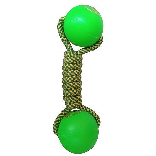 Dogista Durable Plastic DUMBLE Knotted Cotton Rope Toys for Teeth Cleaning and Chewing, Small & Medium Dog/Cat/Puppy (Multicolour).