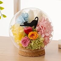 黒猫 ドーム型仏花（大） 黒猫 ドーム型仏花（大） 黒猫 ドーム型仏花