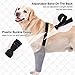 Dog Recovery Suit for Front Legs, Dog Leg Sleeves After Surgery with Elastic Band, Soft Protective Elbow Braces for Medium Large Dogs, Cone Collar Alternative to Stop Licking Leg Wounds,Grey,L