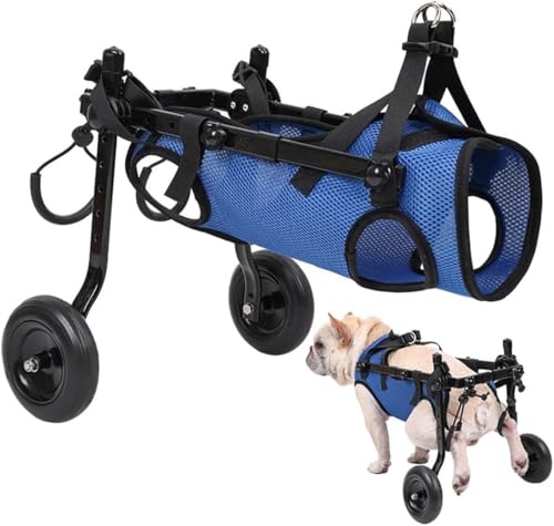 Sedia a rotelle per cani regolabile Arto posteriore Gamba posteriore Disabile Cane per gatti Carrello per la mobilità Gambe Riabilitazione Strumenti per la camminata dell'animale domestico leggero,XS