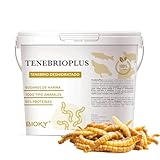 Gusanos de la Harina Secos 320 GR - Comida para Tortugas, Peces, Hamster, Gallinas, Pájaros, Roedores - Tenebrios Deshidratados con +50% Proteína