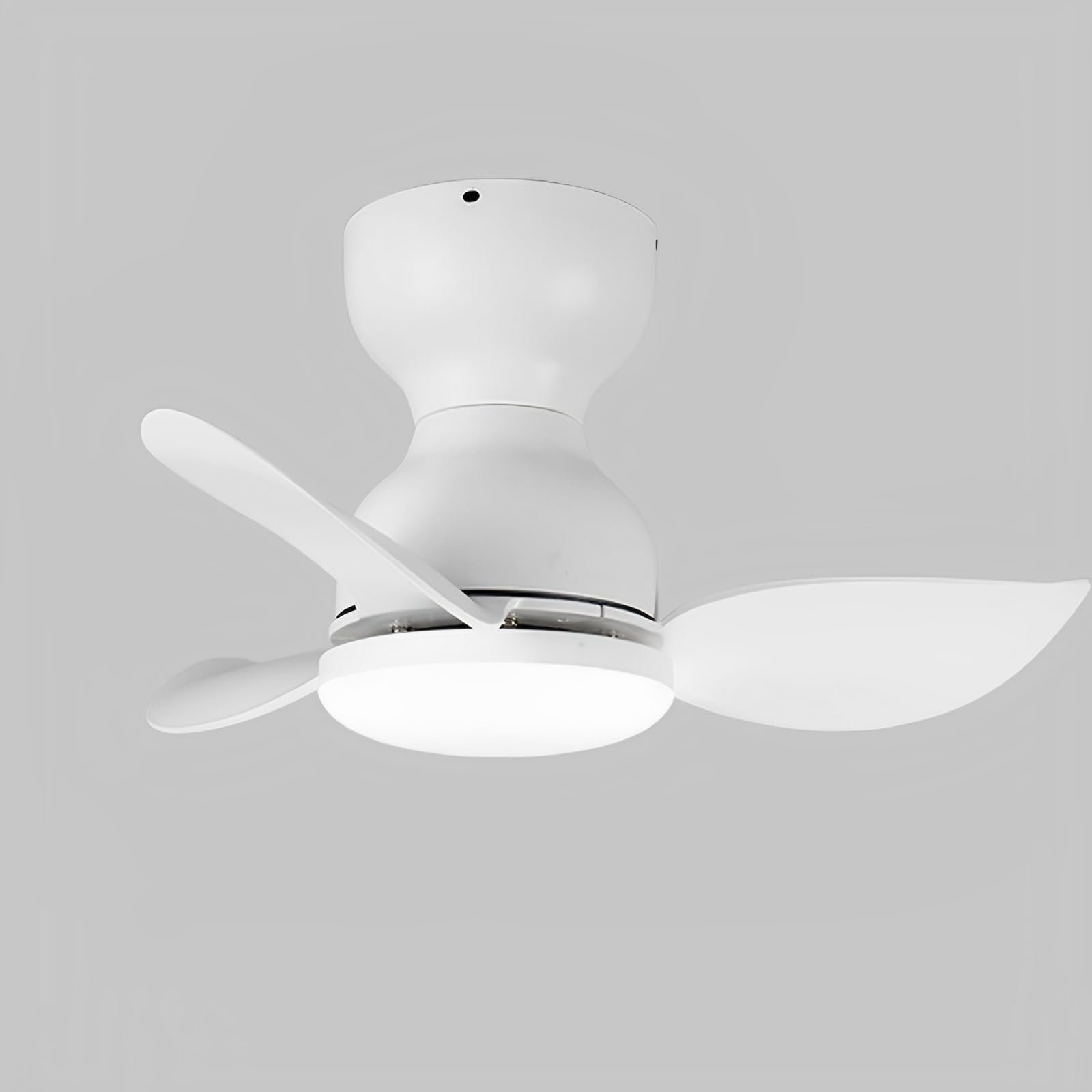 Ventilateur de plafond pour chambre et bureau avec plafonnier LED calme