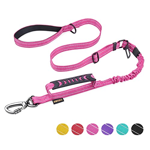 What's The Best Dog Leash For Pullings By An Expert Glory