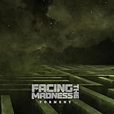 Facing the Madness