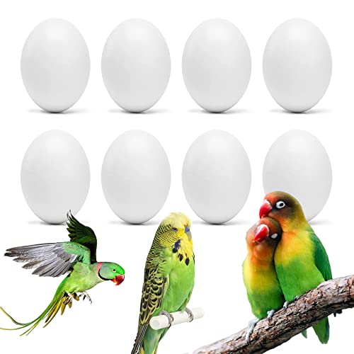 WOLEDOE 8Pcs Fake Bird Eggs, Stop Egg Laying fit Bourkes Parrot, Lovebird, Lineolated Parakeet, English Show Budgie Artificial Eggs 18mm*25mm