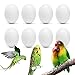 WOLEDOE 8Pcs Fake Bird Eggs, Stop Egg Laying fit Bourkes Parrot, Lovebird, Lineolated Parakeet, English Show Budgie Artificial Eggs 18mm*25mm