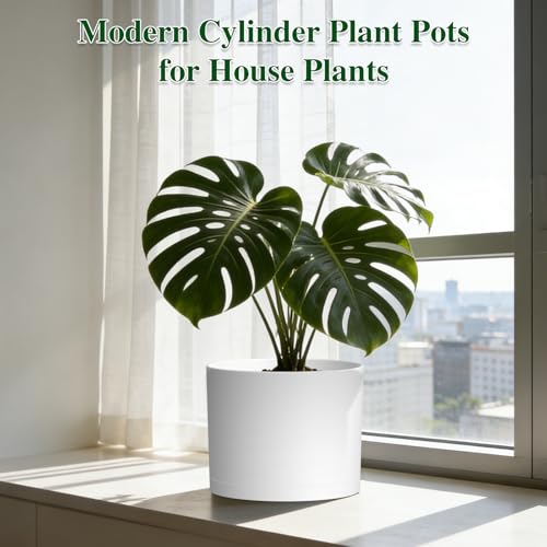 KUGAZ Plant Pots, 10/9/8 Inch 3 Pack Cylindrical Flower Pots with Drainage Holes and Saucers, Plastic Planters for Outdoor Indoor Plants,White by KUGAZ - Image 7