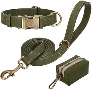 Didog Quick Released PU Leather Dog Collar Leash Set with Dog Poop Bag Holder for Medium Dogs
