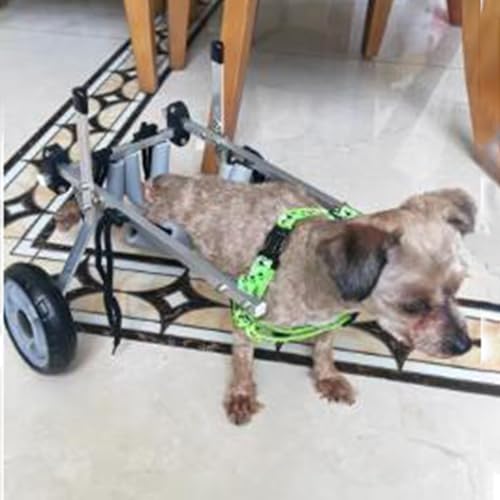 Chariot pour pattes arrière de chien - Aide à la mobilité léger à deux roues