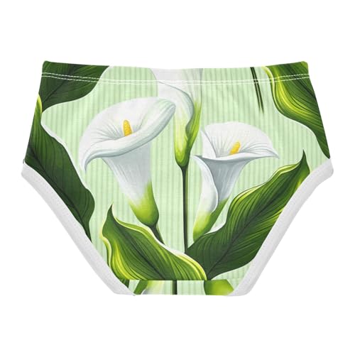 Durable Toddler Underwear Floral 2t Cotton Cute Panties Girl White Calla Lilies Green Striped Kids Briefs Undies2