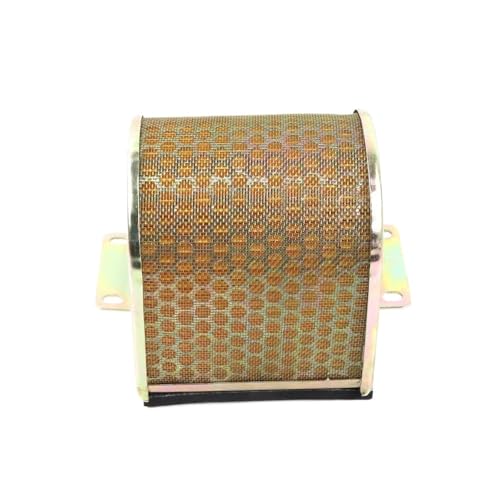 Filtre de nettoyage Eleme à haute perméabilité pour motos 500X - 5