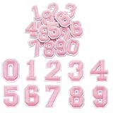 KEJOL 40 números térmicos para Ropa, Parches Rosas 0-9, Parches Bordados 4,5cm para transferir en Vestidos, Sombreros, Calcetines, Vaqueros, Accesorios DIY