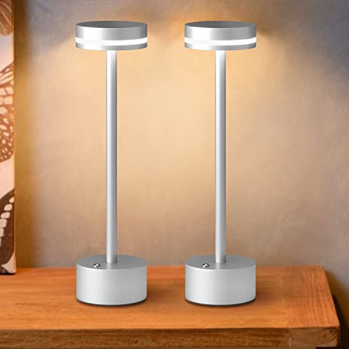 FUNTAPHANTA Lampada da tavolo a LED a batteria con...