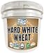 Palouse Brand Certified Glyphosate Residue Free Hard White Wheat Berries | 25 LBS Bucket | Family Farmed in Washington State | Sproutable | Non-GMO Project Verified | Kosher