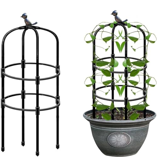 Obélisque de Jardin,Treillage Plantes grimpantes,Plante grimpante Exterieur,Stable Cage à tomates,Jardinière for Roses,Facile à démonter,Stable,terrasse (Size : 20 * 120cm/0.7 * 3.9ft)