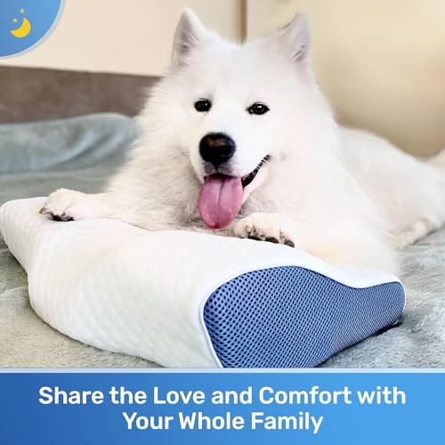 Derila Cervical Queen Size Pillow thumb #4