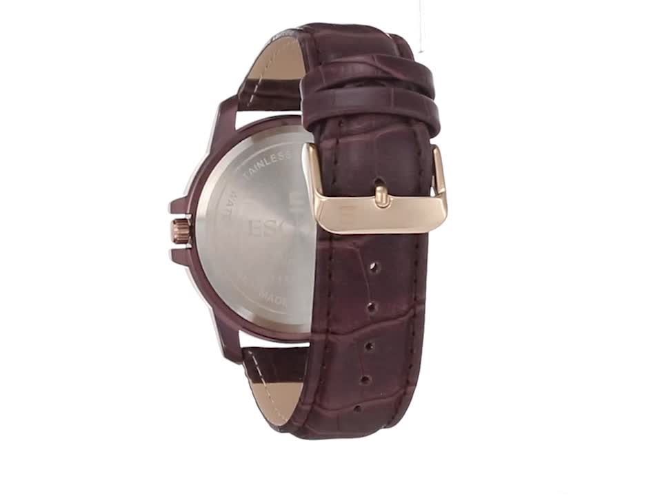 Escort Analog Brown Dial Men's Watch-E 1700-7114 BRNL.9 : Amazon