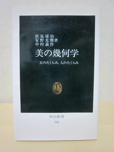 美の幾何学―天のたくらみ,人のたくらみ (中公新書 554)