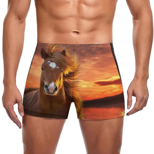 Boxer de bain homme anti frottement au motif de cheval et coucher de soleil