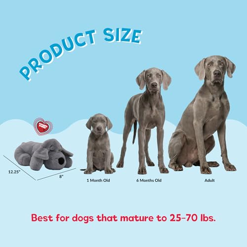 Image of Snuggle Puppy Heartbeat Toy, Calming Comfort, Medium Breeds - Gray | Calming heartbeat toy, crate training comfort, heat pack, new puppy essentials, first nights, sleep, medium breeds 25-70 lbs