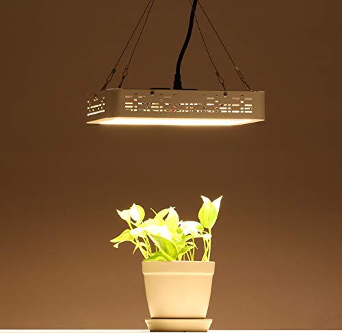 Cannalights 1000W LED Grow Light for Indoor Plants Full Spectrum Plant Light for Greenhouse Hydroponic Veg and Flower