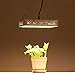 Produktbild XECCON LED Pflanzenlampe 1000W Vollspektrum LED Grow Light Wachstumslampe für zimmerpflanzen mit Daisy-Chain Funktion