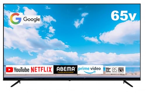 AybNX 65^ 4KΉGoogleer EgHD/_u`[i[ nEBSE110xCSfW^ OtHDD^@\ 4Kpl IPSpl HDMI3n Ǌ|Ή AP655GL