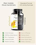 120 Johanniskraut Kapseln hochdosiert - 1000mg Johanniskraut-Extrakt mit GABA & L-Tryptophan - pflanzlicher Stimmungsaufheller hochdosiert - Stimmungszauber - 3 Monatsvorrat