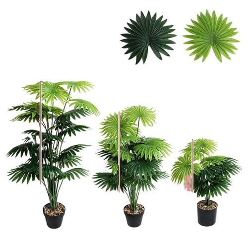 観葉植物 シュロ」の人気商品一覧 | 安い商品を通販サイトから探す