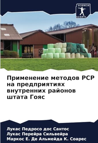 Применение методов PCP на предприятиях внутренних районов штата Гояс: DE