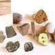 Baluue 10st Biologische Fossilien Paläontologische Exemplare Sammlungs-aktivitäts-kit Desktop-Ornament Pädagogisches Spielzeug Geschenk Echt Premium Proben Schmuck Uralt Puzzle Kind