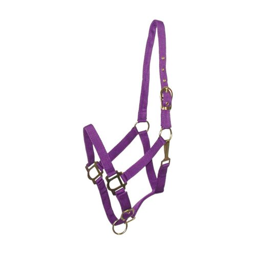 GATSBY LEATHER COMPANY 283989 Nylon Halter Purple, Horse