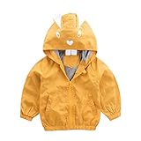 ❤ ropa bebe niña conjuntos bebe niña body bebe felpas bebe niña diademas bebe niña regalo bebe vestido bebe niña body bebe tirantes gorra bebe niña camisa bebe niño chaqueta bebe calcetines bebe niña pantalones bebe niña rebeca bebe niña camiseta bebe leotardos bebe niña gorras bebe niña bodies bebe niña vestidos de bebe niña traje bebe niño leotardos bebe niño camisas bebe deportivas bebe niña bebe ropa niño vestidos para bebe niña body personalizado bebe body para bebe