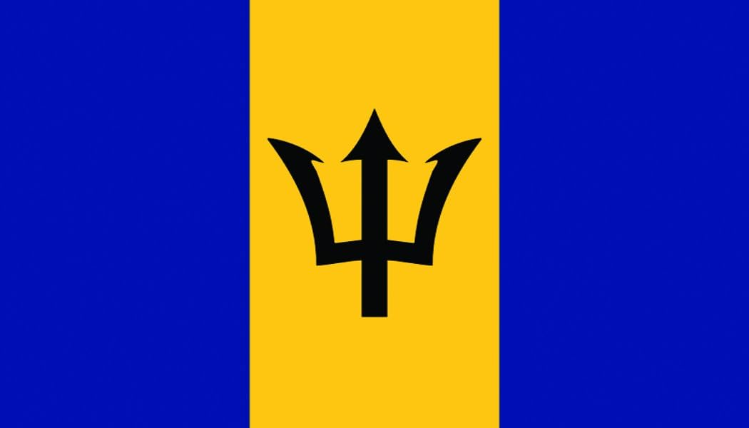 SeaSense Barbados Boat Flag