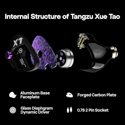 Image of Linsoul TANGZU Xue Tao Gaming IEMs, HiFi Wired Earbuds with Detachable Mic,10mm Glass Diaphragm Driver in Ear Monitor,with 2Pin Detachable OFC Cable for Audiophile Gamers (TypeC MIC)