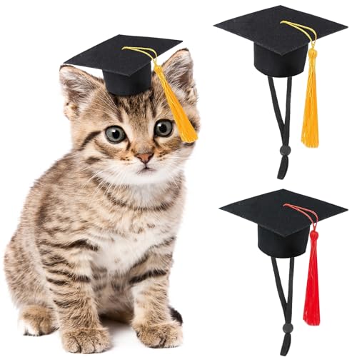 SPMatrix 2�� ���Ɨp�L���b�v�f�R���[�V�����A���Ɨp�L���b�v�A�~�j�O���[�h�L���b�v�A�ʂ�����݁A�n���X�^�[�A�M�j�A�A�L�A�E�T�M�A���A���A�J���A�p�[�e�B�[�p�i�A�S�[���h�ƃ��b�h�̃^�b�Z��