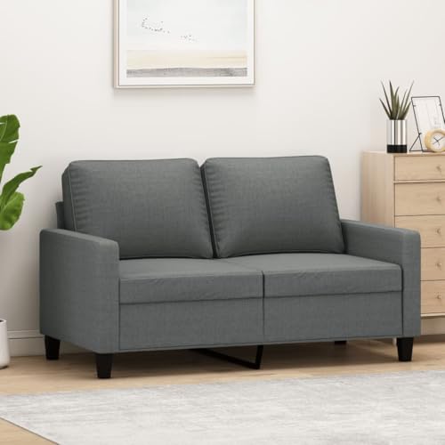 Emmtore Sofá de 2 plazas de Tela,Sofá Sillón de Descanso Relax Color Gris Oscuro 120 cm
